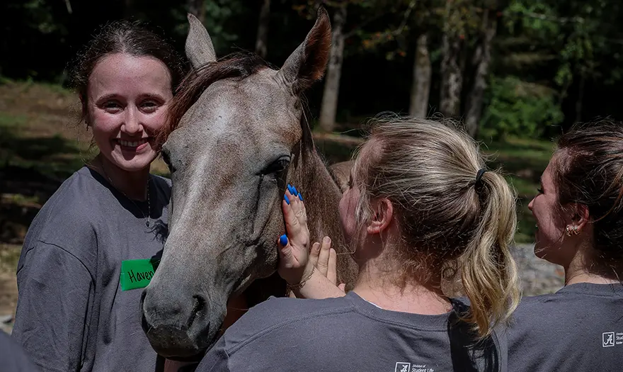 UA students with a horse for Ripple Effect therapeutic riding
